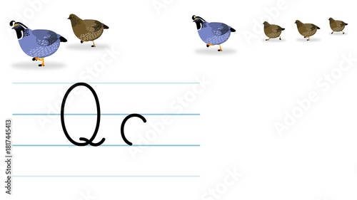 Q letter writing like quail cartoon animation. A compatibile part of the alphabet serie. Handwriting educational style for children. Good for education movies, presentation, learning alphabet.