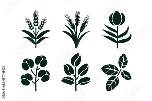Six stylized silhouettes of various plants and flowers