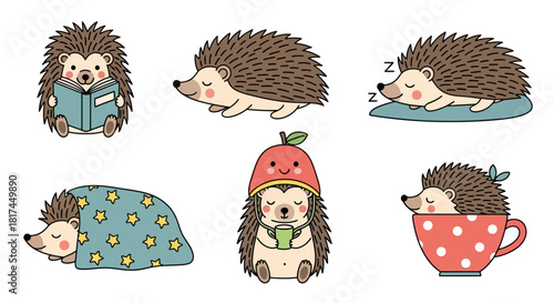 Cute Hedgehog Collection Illustrations of hedgehogs in various activities like sleeping, reading, and relaxing