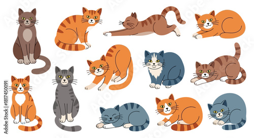 Diverse and Playful Cats A Colorful Collection of Feline Companions in Various Poses