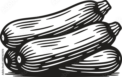 Linocut illustration of courgette in vintage vegetable engraving style for packaging and labels