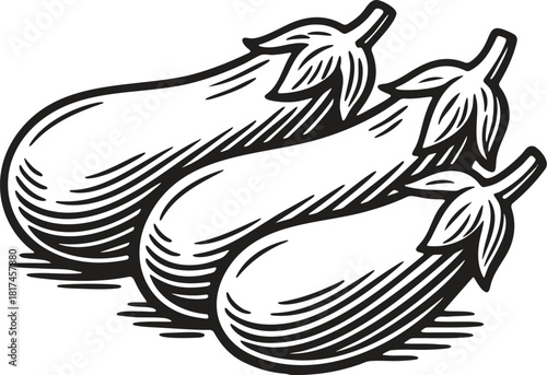 Linocut illustration of eggplant in vintage vegetable engraving style for packaging and labels