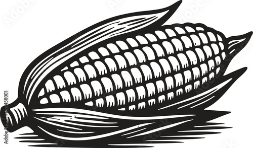 Single corn cob illustration in traditional linocut style for organic food branding and label applications