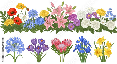 A lush collection of colorful blooming garden flowers and individual floral bunches, perfect for elegant graphic design elements and nature-themed creations for print and digital projects