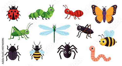 Diverse Insect Collection A Colorful Array of Bugs, Featuring a Ladybug, Caterpillar, and More