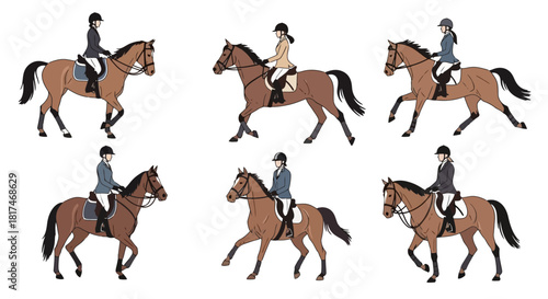 Equestrian rider and horse in various gaits, illustrating movement and discipline in horseback riding