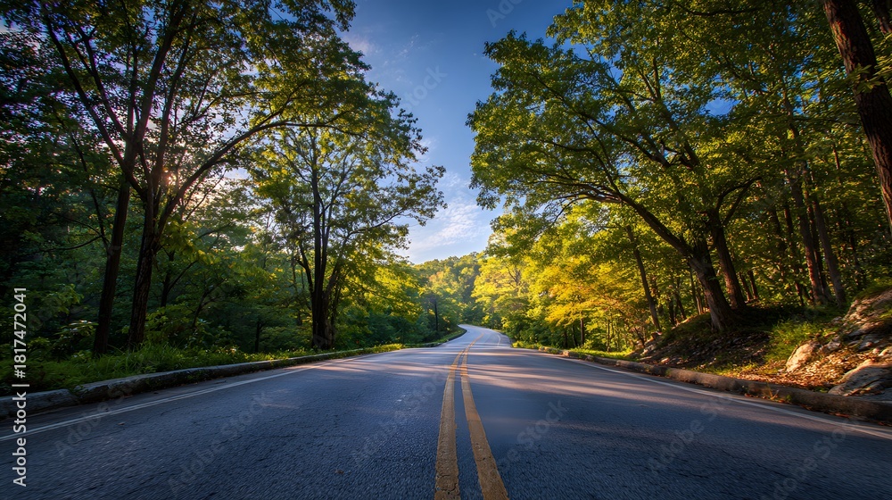 Fototapeta premium Curving asphalt roadway stretches through a sunlit, dense forest canopy
