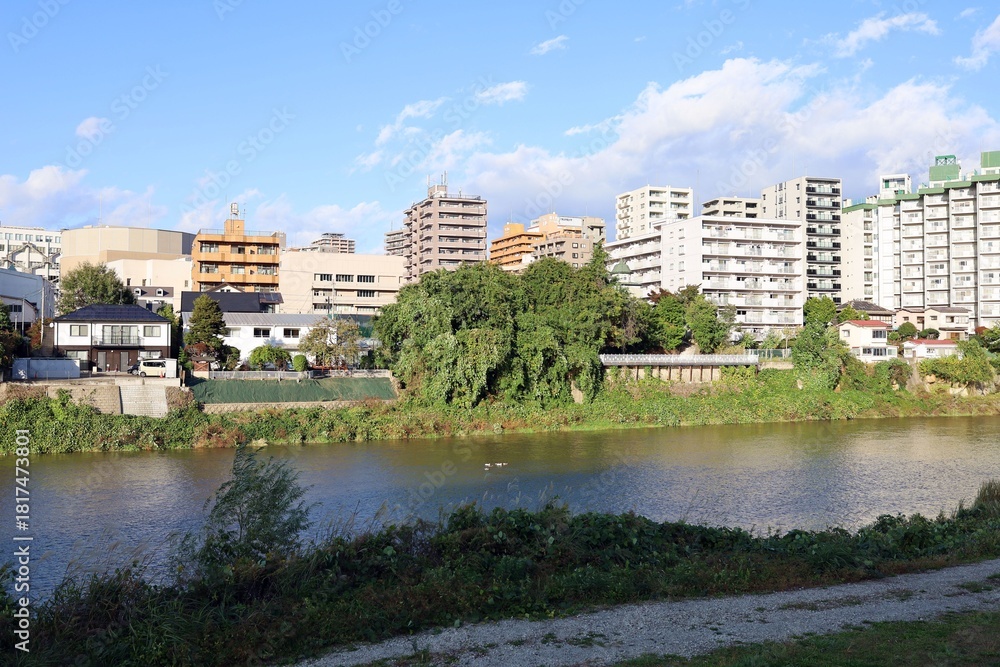 Obraz premium November 1, 2025. Sendai, Miyagi Prefecture, Japan.The riverbank of the Hirose River in autumn