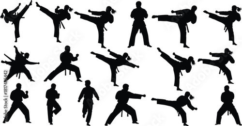 Martial arts icon set, silhouette collection, kick, punch, stance, jump, defense, motion, fighter, training, combat, discipline