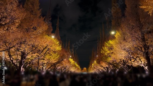 Wallpaper Mural 夜のライトアップされたイチョウ並木と秋の観光客 Torontodigital.ca