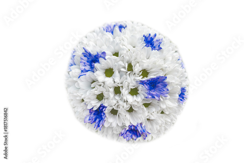 Camomile bouquet chamomile white floral background isolated daisy flower summer nature blossom