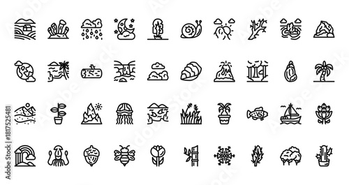 40 set of outline web nature icons such as coral, snail, world, oyster, desert, grass, rainbow vector thin icons for report, presentation, diagram, web design, mobile app