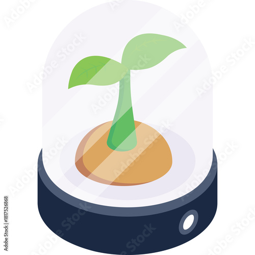 Small Green Plant Growing Inside A Transparent Dome With A Dark Base On A Transparent Background With Soft Lighting