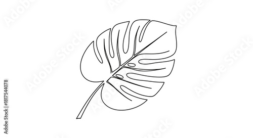 Minimalist monstera leaf outline drawing for botanical illustration and design projects
