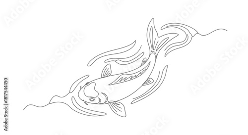 Elegant minimalist line art illustration of a swimming koi fish gracefully moving in water