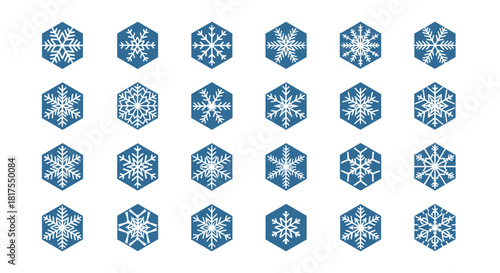 Collection of twenty four snowflakes inside blue hexagon shapes arranged in a grid pattern