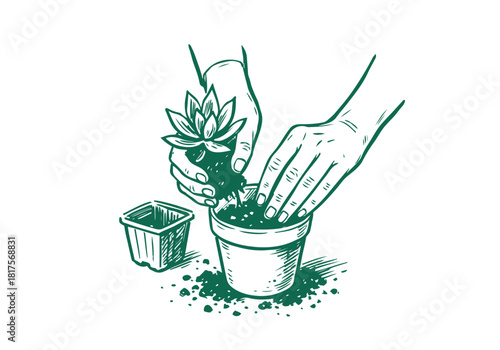 Succulent Rosette hand drawn simple sketch vector illustration