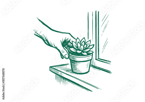 Succulent Rosette hand drawn simple sketch vector illustration