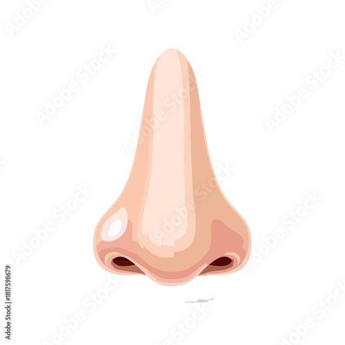 Realistic Human Nose Illustration for Medical Diagrams and Facial Recognition Technology, a Scalable Vector Graphic Converted to PNG for Enhanced Compatibility