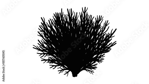 Vector illustration of silhouette of a dense, small, leafless winter shrub or bush isolated on transparent background 