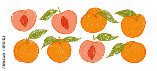 Crayon drawn funky apricot collection. Pencil drawn peach icons and stickers for hand-drawn notes, graphic kid design, natural food illustrations. Vector crayon apricots with texture.