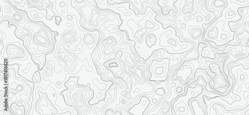 Minimalist Topographic Map with Faint Gray Lines for Design and Mapping Pristine White Background.