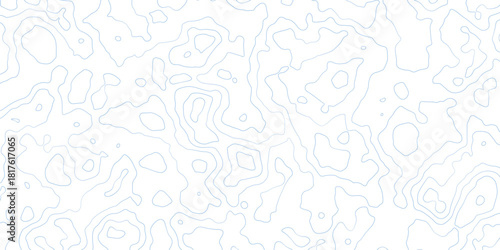 Topographic Map with Delicate Blue Lines on a Clean White Background.