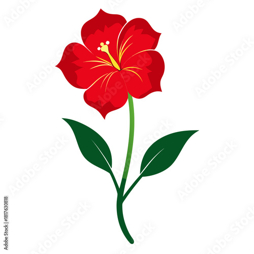 evening primrose red