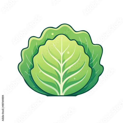 Fresh vibrant cabbage vegetable illustration for healthy eating recipes and culinary designs, perfect for food blogs and nutritional content creation