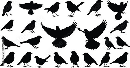 Small bird silhouettes vector collection, black sparrow and robin shapes, flying wildlife icons set, nature animal symbols for design, isolated on white background.