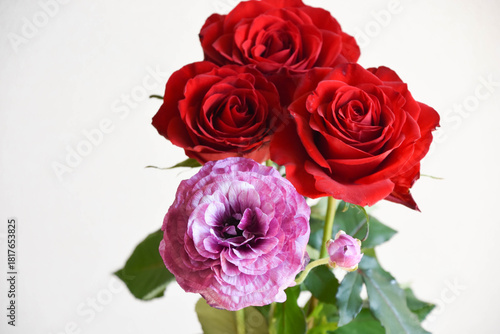 Wallpaper Mural ばらとラナンキュラス Torontodigital.ca