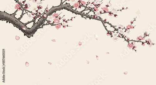 japanese cherry blossom