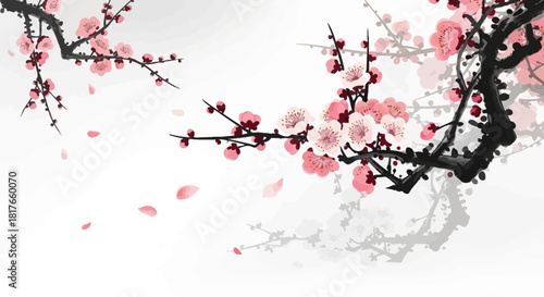 cherry blossom branch