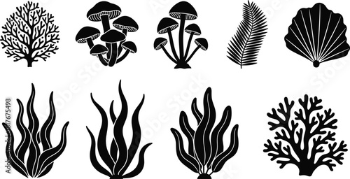 Collection of black nature silhouettes featuring marine coral, seaweed, forest mushrooms, fern leaf and shell, isolated vector illustration icons.