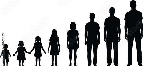 Human life cycle vector illustration showing growth stages from child to adult, silhouette people of different ages standing.