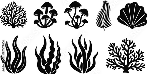 Set of black nature silhouettes, vector icons of coral, seaweed, mushrooms, shell and fern, isolated illustration on white background.
