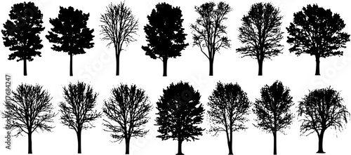 set of bush grass shrub herb silhouette vector transparent background eps 10
