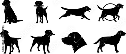 labrador retriever dog breed black silhouette logo set
