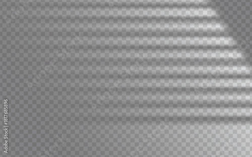 Realistic soft window shadow overlay on transparent background, perfect for branding, product display, social media design, and modern minimal mockups. Subtle natural sunlight studio lightning effect