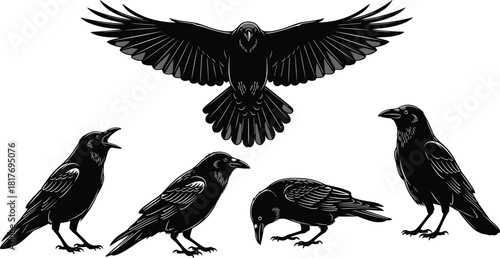 Collection Of Female Hairstyle Silhouettes Featuring Long Wavy Messy Bun And Short Pixie Cut Vector Illustration For Beauty Salon