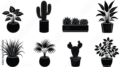 Black, white silhouette potted plants set, various indoor tropical foliage, decorative cactus and succulent vector illustrations for home, office interior design.