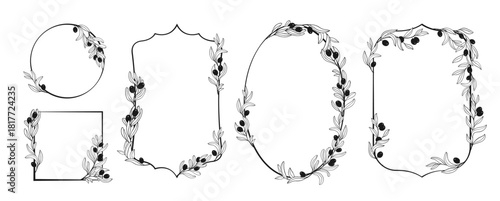 Olive branches frames vector illustration. Hand drawn botanical elegant leaves and olives linear minimal invitation wedding card, poster greeting card cover. Different Olive branches wreath collection