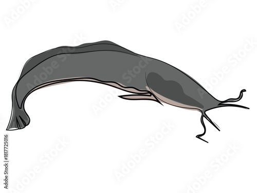 Catfish in continuous line drawing