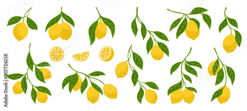 Lemons textured set. Different lemon branches with leaves bright botanical collection. Fresh juicy citrus abstract whole or cut lemons. Decorative fruits design elements hand drawn vector illustration