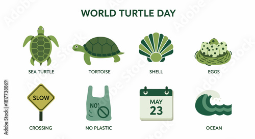 Eight green icons related to World Turtle Day including turtles eggs and environmental warnings
