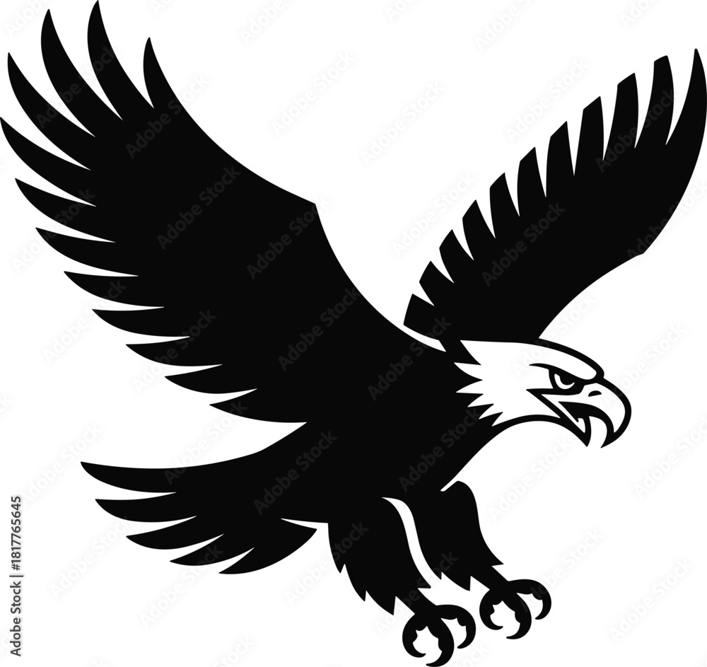 Fototapeta premium Majestic bald eagle in flight with wings spread wide in a fierce pose