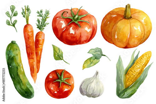 Watercolor Still Life with Fresh Vegetables on Transparent Background, PNG