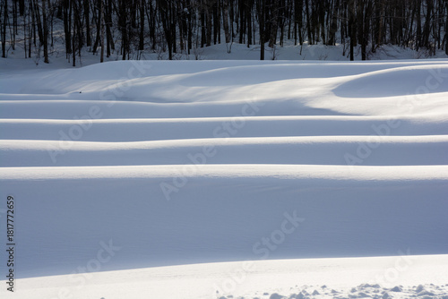 雪が積もった畑
