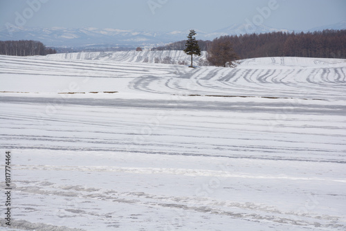 融雪剤が撒かれた雪の畑

