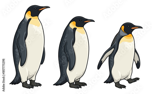 Three penguins standing together on a white background